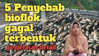 Penyebab bioflok gagal terbentuk/the cause of failed biofloc formation