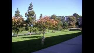 Palace of Fine Arts 2012-10-26