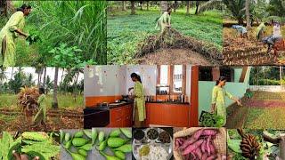 இன்று போல் என்றும் வாழ வேண்டும் என்று மனம் கேட்கும்day routine in my farm/Harvesting and cooking