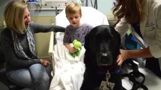 A Day in the Life of Fraser: Chippenham & Johnston-Willis Hospitals' Pet Therapy Program