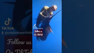 Follow us on TikTok @RobAllenSpearfishing