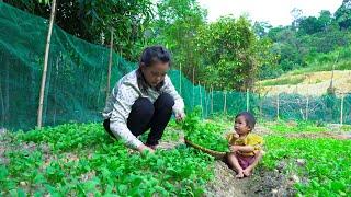 Together with my daughter, I hoe the land to grow vegetables | Family Farm Life