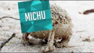 Very Angry Michu9773