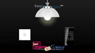 Livolo Touch Light Switch Remote Controller