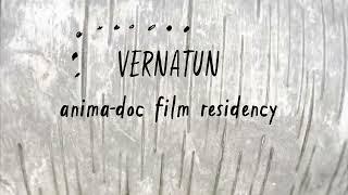 Vernatun Animadoc Residency