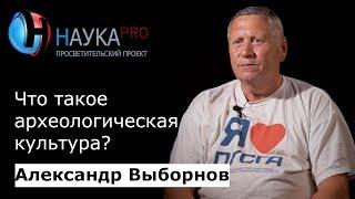 Что такое археологическая культура? | Лекции по археологии – археолог Александр Выборнов | Научпоп