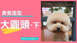 貴賓犬的大圓頭造型 Part 2｜凱莉老師 Groomer Kelly｜寵物美容教學｜Poodle Pet Grooming