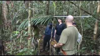 Jungle Survival School