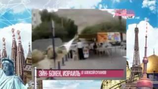 Пурим в Эйн-Бокеке. Алексей Суханов