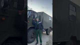 #тигр #хвостик #шишига