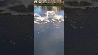 Crane-boating #aquatic #florida #freshwater #fishing #lakes #nature #boat