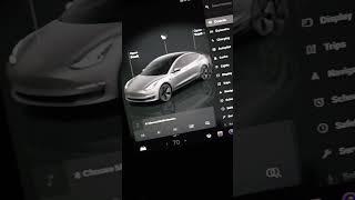 How to view your Tesla's cabin camera