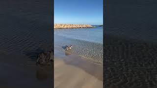 Lelina al mare 