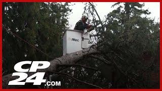 Rare November Tornado may have touched down near Fergus