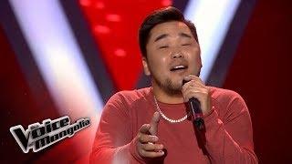 Otgonbayar.T - "Borootoi zunii dursamj" - Blind Audition - The Voice of Mongolia 2018