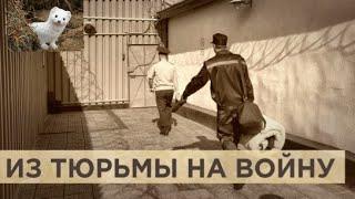 Какие зеки идут на СВО
