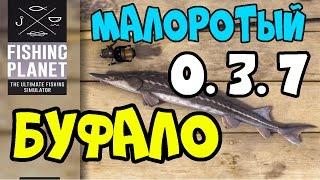 Fishing Planet Малоротый Буфало Техас 0.3.7 | Smallmouth Buffalo Texas | Озеро Лоун Стар Обзор