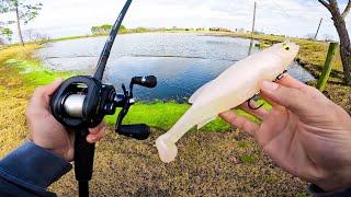 Fishing BIG Swimbaits for GIANT Bass (BIGGIN CAUGHT)