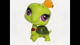 Littlest Pet Shop US | Turtles