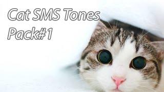 Funny Ringtones - Cat SMS Tones