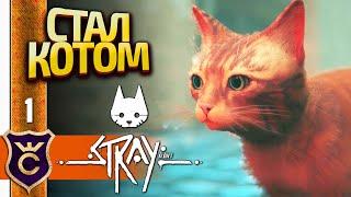 ИГРА ГОДА СИМУЛЯТОР КОТА! Stray #1