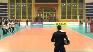 ahmed ellakany  egyption setter