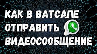 НОВИНКА! Как в Ватсапе отправить видеосообщение [НОВЫЙ УДОБНЫЙ СПОСОБ]