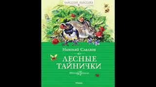 ЛЕСНЫЕ ТАЙНИЧКИ аудиосказки для детей, Николай Сладков слушать сказки онлайн