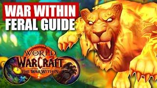 11.0 War Within Feral Druid PvP Guide | Talents, Rotation, Tips and MORE!