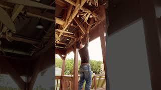 #texas #pullups #tattooed #countryboy #farm #tiktok #fyp #fypシ #fypage
