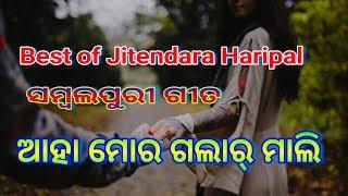 AHA MOR GALAR MALIRE//VOICE - JITENDRA HARIPAL//Old Sambalpuri Sad Songଆହା ମୋର ଗଲାର୍ ମାଲି