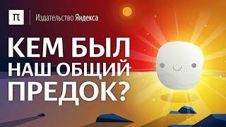 Кем был наш общий предок?