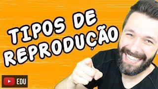 TIPOS DE REPRODUÇÃO - SEXUADA E ASSEXUADA - Aula | Biologia com Samuel Cunha