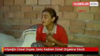 Köpeğin Cinsel Organı, Genç Kadının Cinsel Organına Sıkıştı