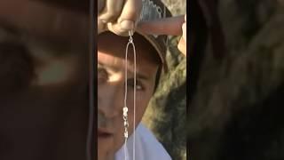 Líneas ganadoras en la pesca de mar