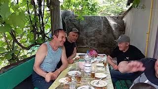 Мелитопольские голуби. Голуби одни - оценки разные?