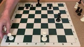 What is a discovered check in chess? | Chess 101