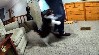 Todd Attacks Dad 