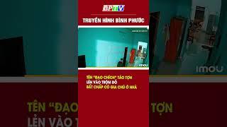 Tên “đạo chích” táo tợn #shorts    | BPTV