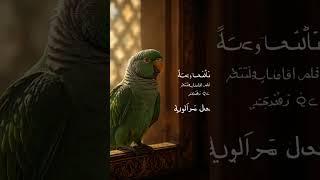 Junaid Jamshed Heart Touching Naat  Official Video - Tauheed Islamic