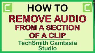 TechSmith Camtasia Studio: How To Remove The Audio From A Section Of A Clip  | PC |