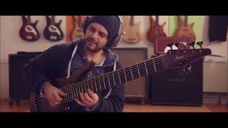 Daniele Camarda - Manne Woody 7 strings bass #2