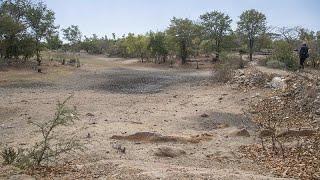 Around 68 million people in Southern Africa suffer from an El Niño-induced drought