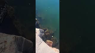 A natureza resisti
