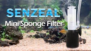 Mini Sponge Filter | Safe and Gentle Filtration for Fry Tank- from senzeal.com