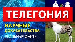 ТЕЛЕГОНИЯ НАУЧНЫЕ ДОКАЗАТЕЛЬСТВА и ФАКТЫ. Наследственность генов от предыдущих партнеров