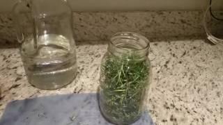 ROSEMARY TINCTURE