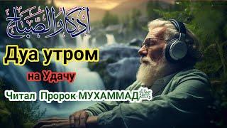 ️Дуа утром на Удачу. Читал  Пророк МУХАММАДﷺ  اذکار الصباح