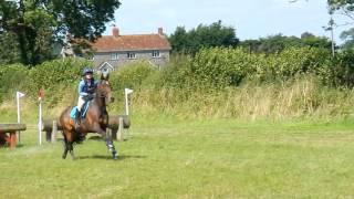 Hesteyri Horses ~ Rearing ~ Training Video