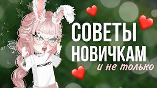 ️СОВЕТЫ НОВИЧКАМ и не только️ | ПРОМОКОДЫ?! | #highrise #shwaty